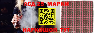 крисы Магадан