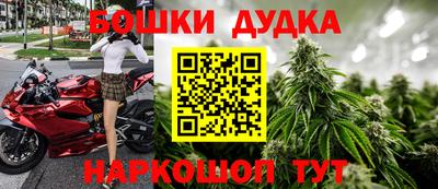 крисы Магадан