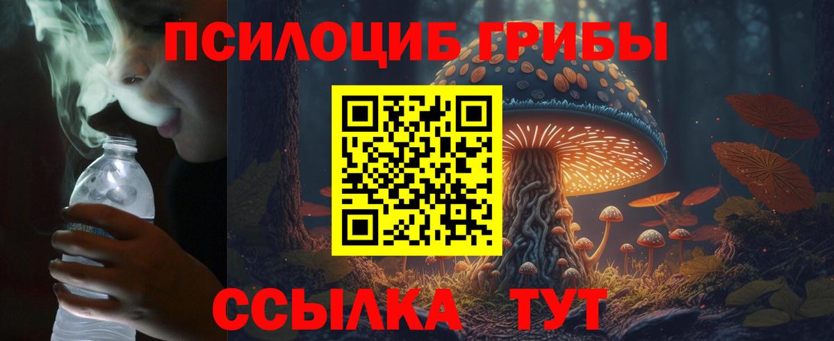 Псилоцибиновые грибы прущие грибы Асбест
