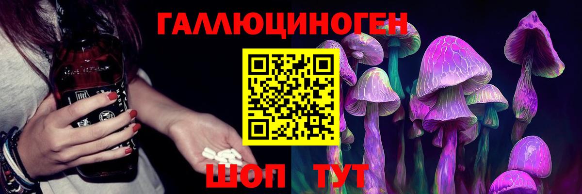 хочу   Вход с VPN  Асбест  Псилоцибиновые грибы Psilocybe 